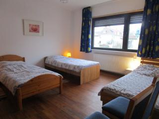 Ferienwohnung Am Homburg Nr 3 - Saarbrücken - 7