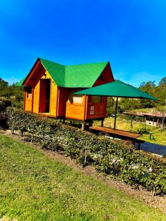 Cabaña de Pino Escapada Natural a 7 Min - Chiquinquirá - 0