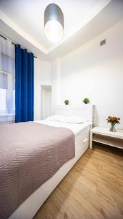 Spacious Apartment with 3 meter ceilings, Powiśle, The Old Town - Varsavia - 0
