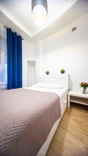 Spacious Apartment with 3 meter ceilings, Powiśle, The Old Town - Varsavia - 5