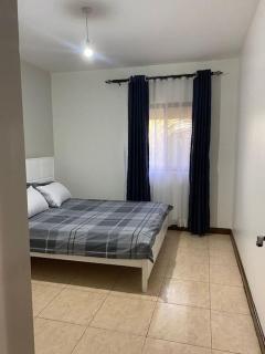 Serene Flat in Bugolobi Close to Village Mall - 5