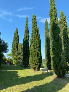 Villa Tre Colli - In The Heart Of Tuscany - Certaldo - 5