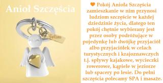 Willa Pod Aniołem - Inowrocław - 1