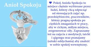 Willa Pod Aniołem - Inowrocław - 7