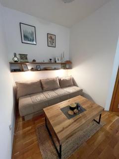 Apartman Stari Vlah - 8