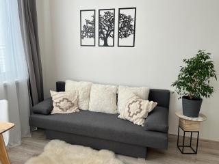 Sunny minimalistic flat near metro Opatov - Prague - 5