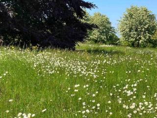 Garden View Apartment Mill Lane Shoreham Kent - - 4