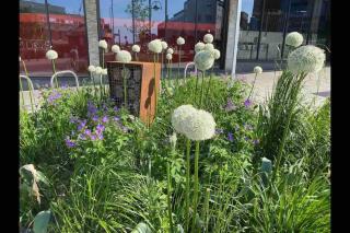 Contemporary City Centre 3 bedroom apartment - Sheffield - 5