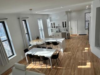 Luxe Spacious SFH in Bucktown with Secure Parking - Chicago - 2