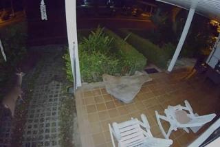 Pura Vida Villa! Beachfront Golf and Country Club Los Delfines 24 hours security - Tambor - 7