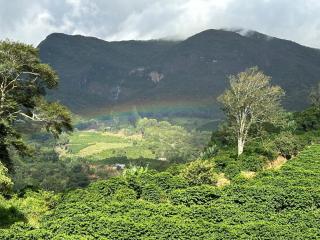 CORAÇÃO DO ALTO CHALES - Alto Caparao - 6