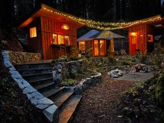 Magical Yurt in the woods - 2 miles from town - Nevada City - 9