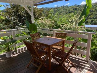 Studio Nature a la Montagne - Le Vauclin - 9