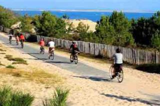 Timounyan T1 N24 centre ville Animaux acceptés - Arcachon - 3