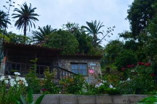 Cosy Chalet with Terrace in Hermigua - Ideal for Couples - 0