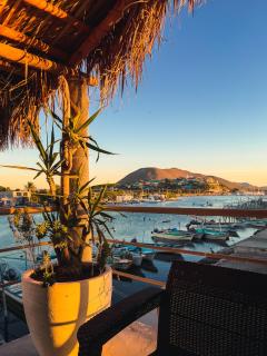 Sealion Dive Center - Topolobampo - 1