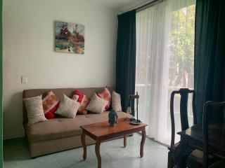 Studio with swimming pool at 12 m height over jungle - Chemuyil - 6