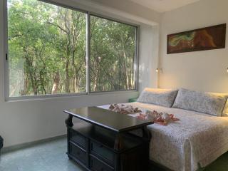 Studio with swimming pool at 12 m height over jungle - Chemuyil - 3