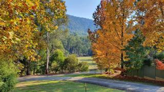 Crystalbrook Cottage - Porepunkah - 4