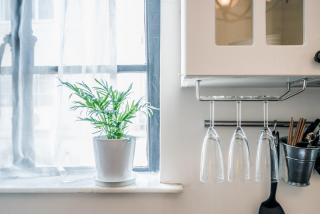 Shanghai Hills & XING 48 Homestay Near Line1 and Line7 Changshu Road Mid Huaihai Road - 7