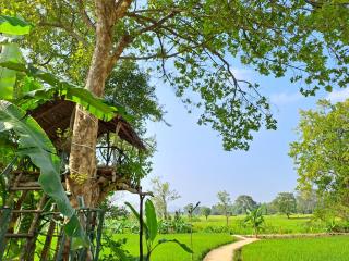 The Nature Park Villa - Sigiriya - 2