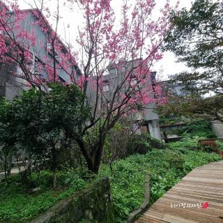 九份市下巷石屋民宿 - Jiufen - 7