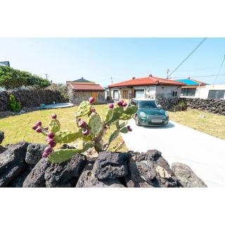 Studio Wolyoung - Jeju - 9