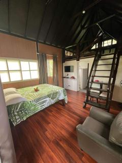 Pension Hibiscus Taha'a - 1