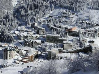 Résidence MARMOTTES - Studio pour 4 Personnes MAE-9004 - Gourette - 1