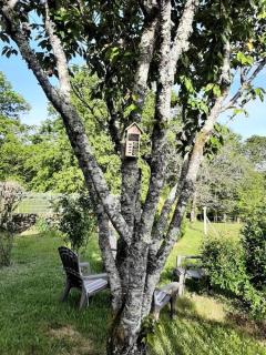 Gîte de France L'hyvernerie 3 épis - Gîte de France 7 personnes MAE-9504 - - 4