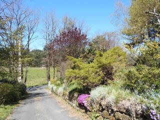 Gîte de France Les acacias 3 épis - Gîte de France 4 personnes MAE-0044 - 8