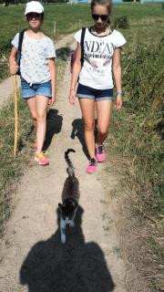 Gîte de France Chez baptiste 3 épis - Gîte de France 7 personnes MAE-0144 - 4