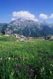 Résidence Rond-point-pistes I - Maxi studio 6 pers. N°73 au rond point des pistes MAE-7384 - Orcières - 1