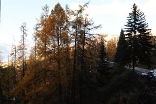 Résidence Le Belvedere - Mini studio 2 personnes MAE-7014 - Les Orres - 4