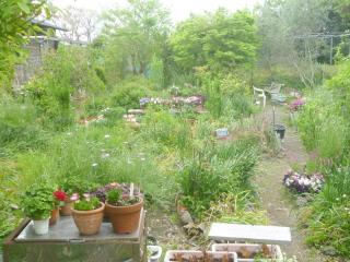Pension Flora - Tateyama - 5