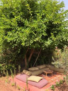 Gite & Camping route Ouarzazate - 7