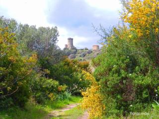 Apartment in Ascea - Cilento 38222 - Ascea - 3