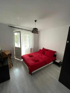 AMZO Apartment - Iaşi - 3