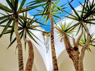 Vejerísimo Casa Boutique - Vejer de la Frontera - 2