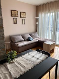 Zoara apartment - Kopaonik - 5