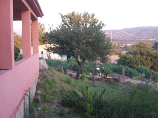 Agriturismo Farris Massimo - 9