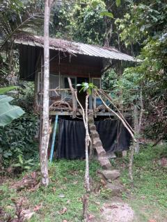 Sumatra Ecolodge - Sungaipisang - 5