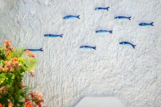 Casa Luna Sul Mare - 7