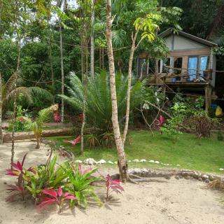 Sumatra Ecolodge - Sungaipisang - 4