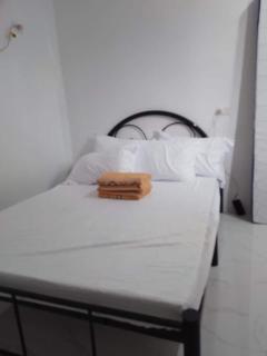 NELU GUEST HOUSE - Panglao Island - 8