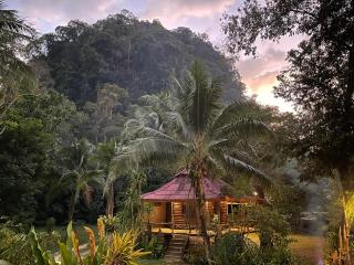 Khaosok Monkeys & River Camps - Khao Sok - 0