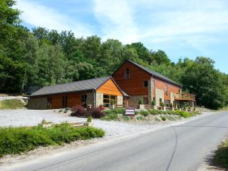 La Villa Roannaise - Stoumont - 0