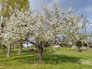 Gite au château - 6