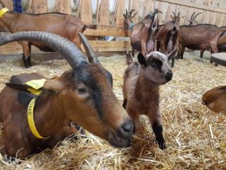 Gite au château - 2