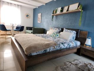 Maison 5 chambres proche Basel Germany - Saint-Louis - 9